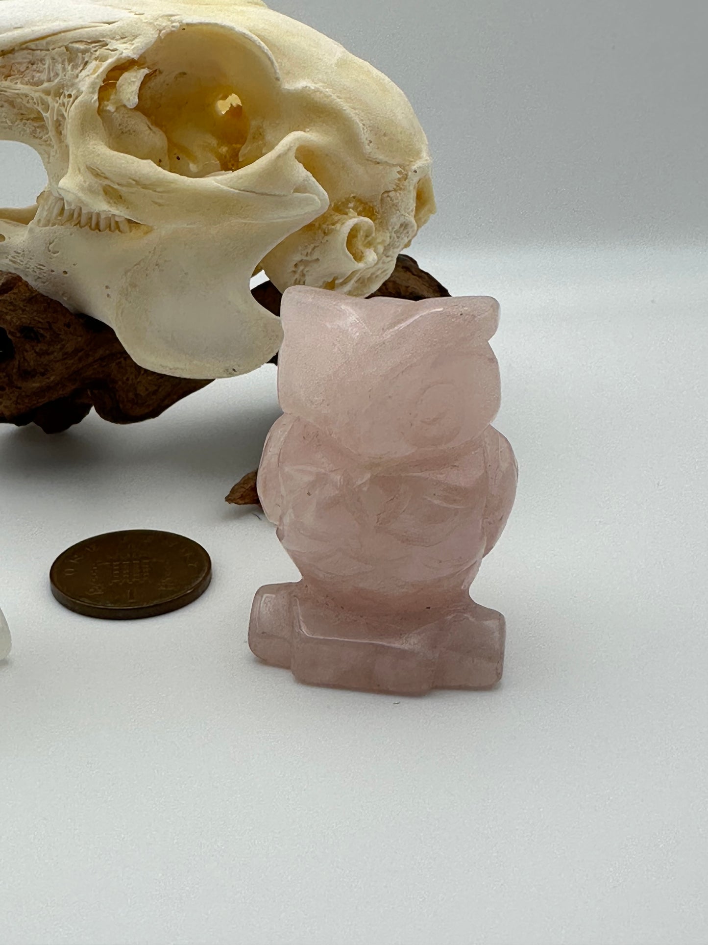 Crystal - Polished Owl