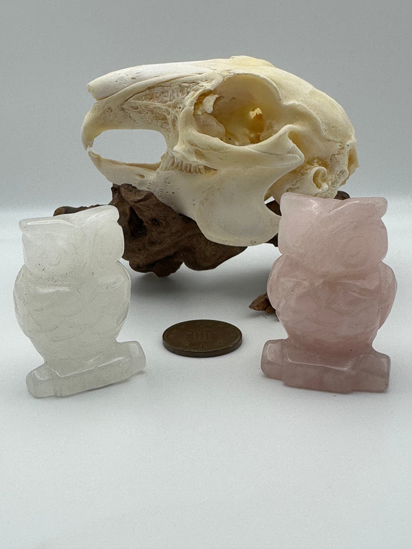 Crystal - Polished Owl