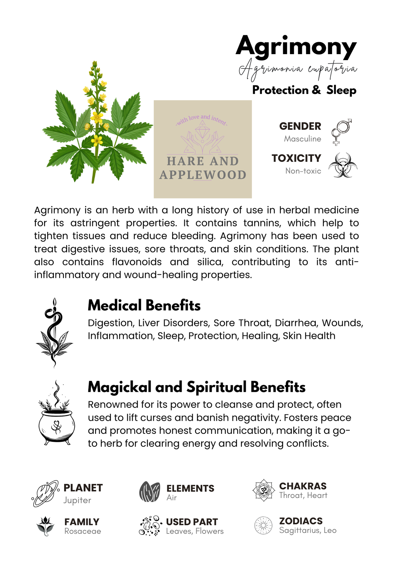 HERB information cards  A B C D E F G H I J K L M