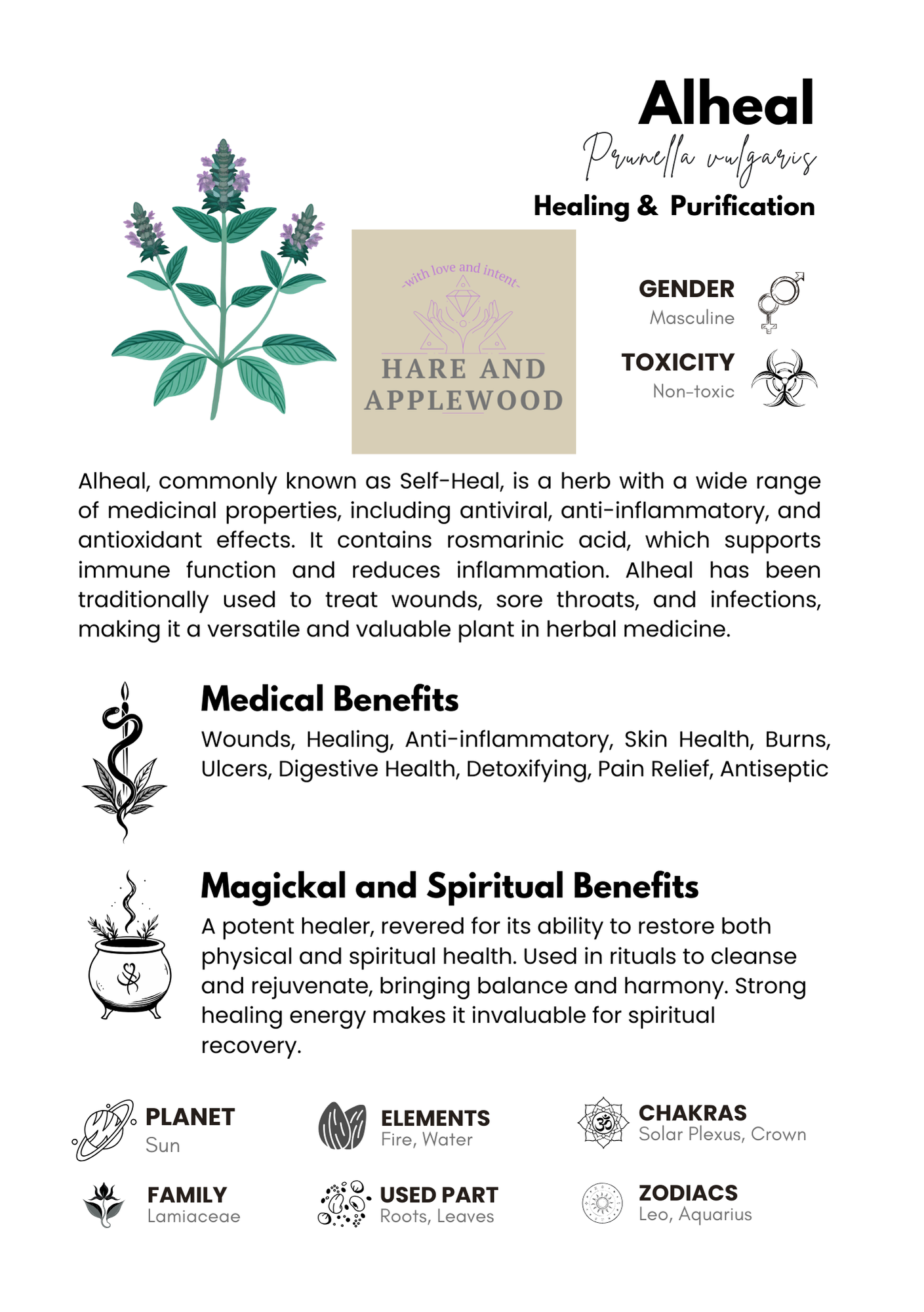 HERB information cards  A B C D E F G H I J K L M