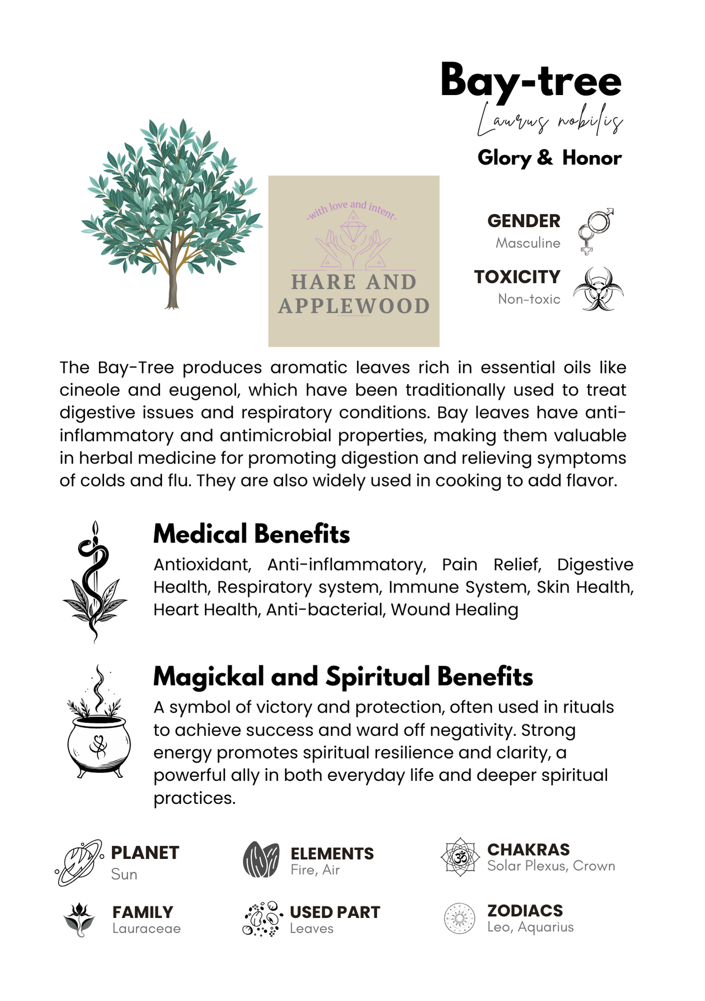 HERB information cards  A B C D E F G H I J K L M