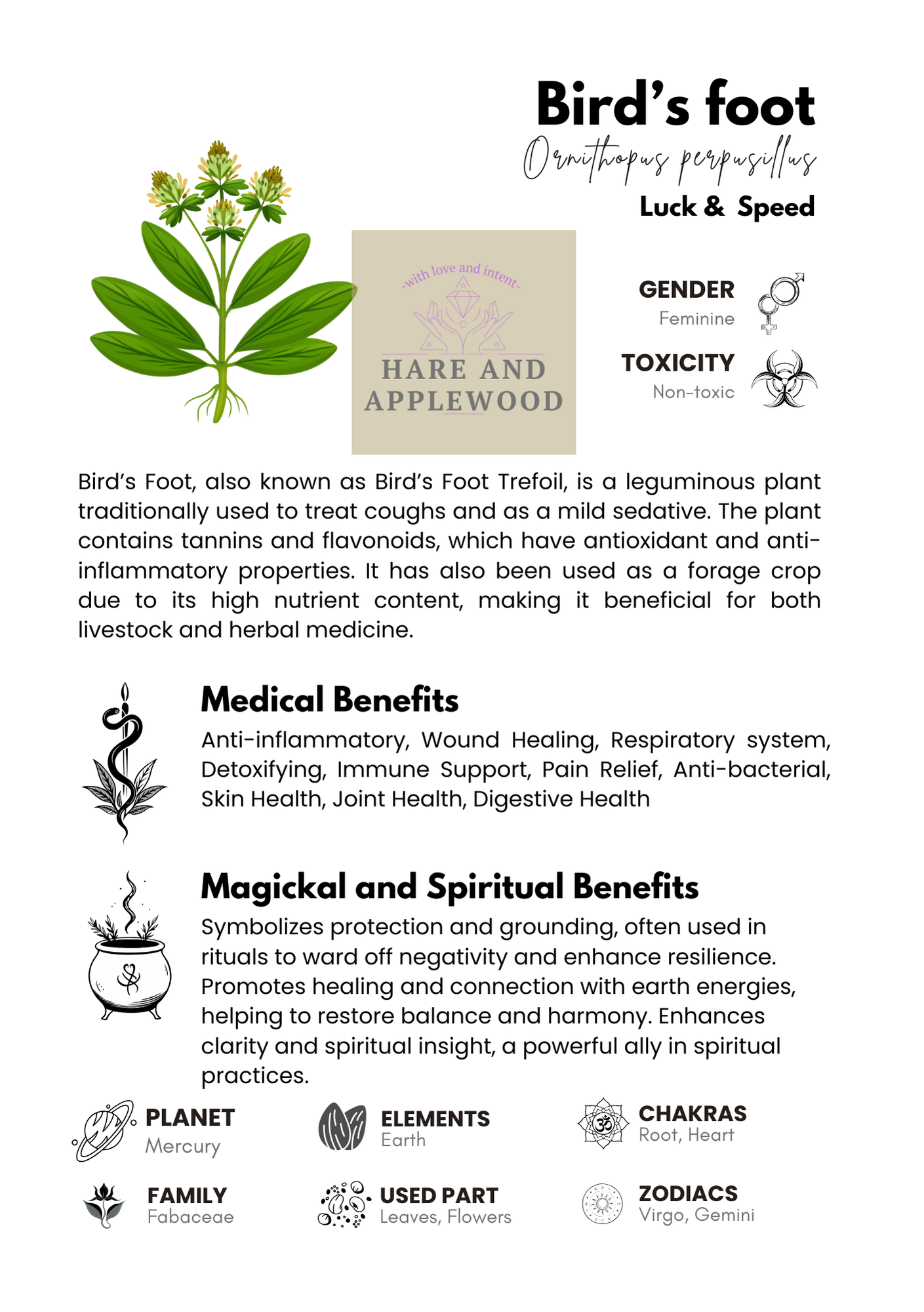 HERB information cards  A B C D E F G H I J K L M