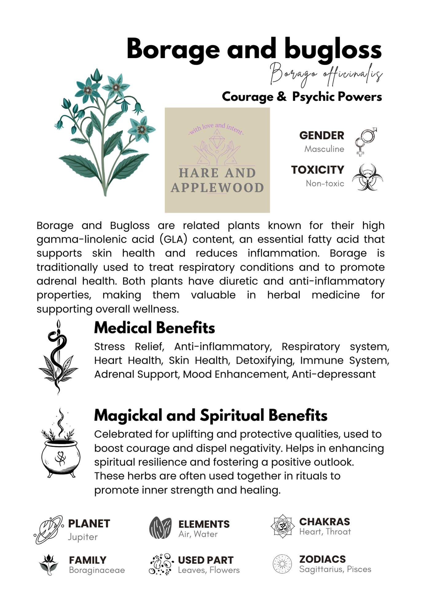 HERB information cards  A B C D E F G H I J K L M