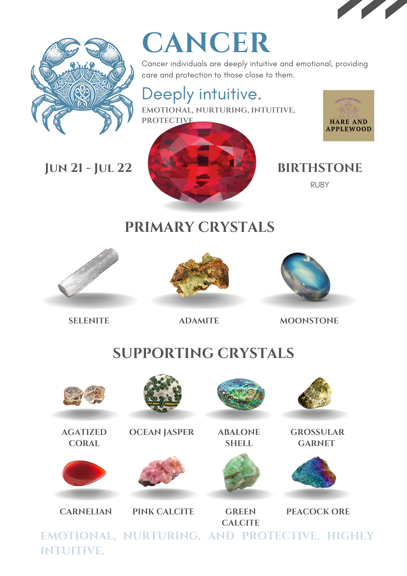 Zodiac Information cards