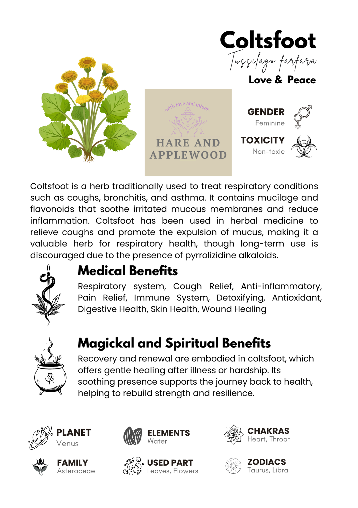 HERB information cards  A B C D E F G H I J K L M