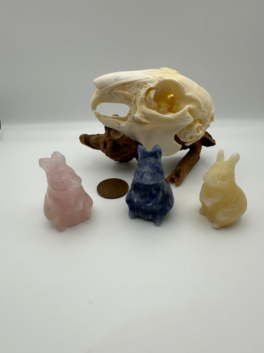 Crystal - Polished Hare / Rabbit