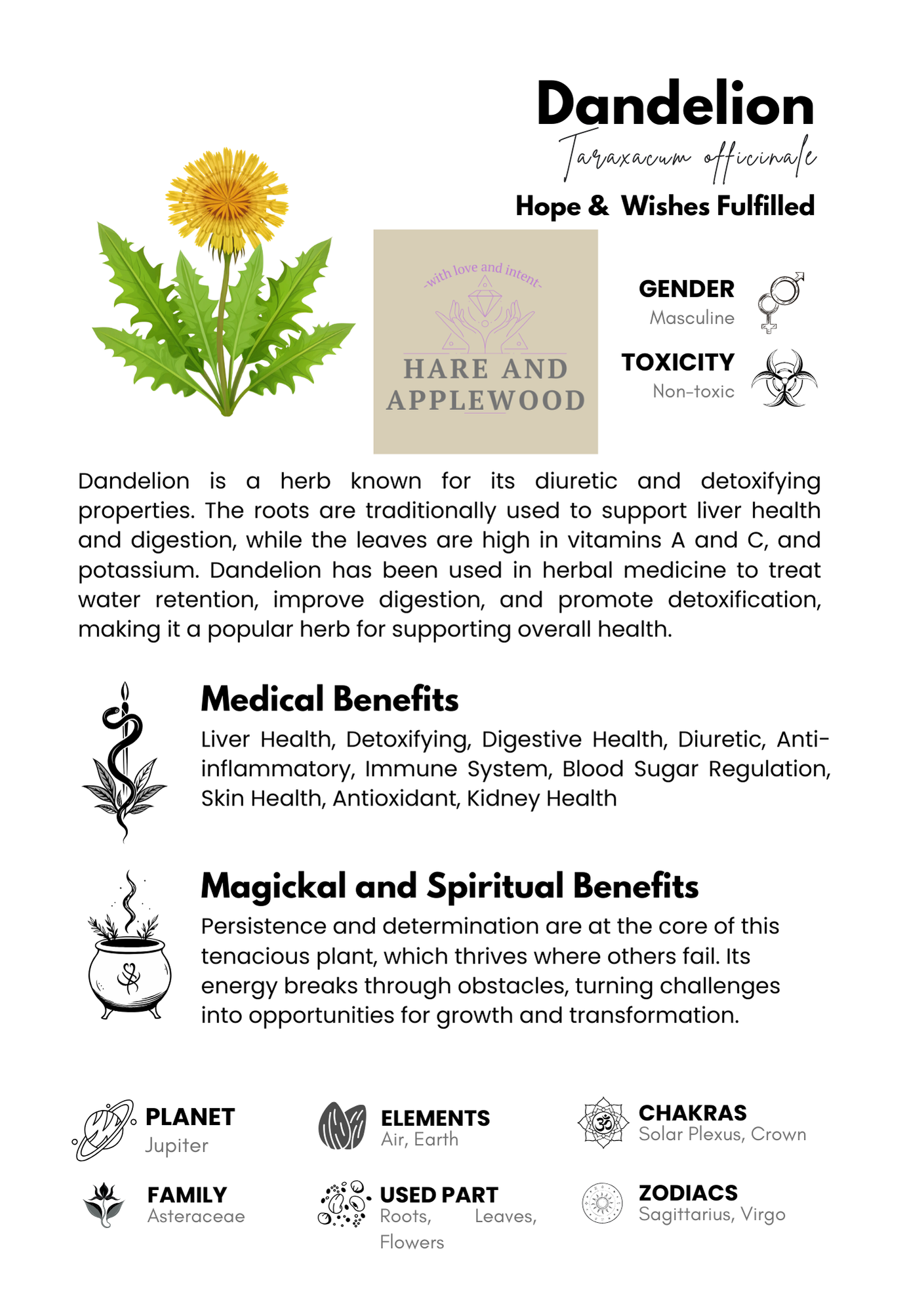 HERB information cards  A B C D E F G H I J K L M