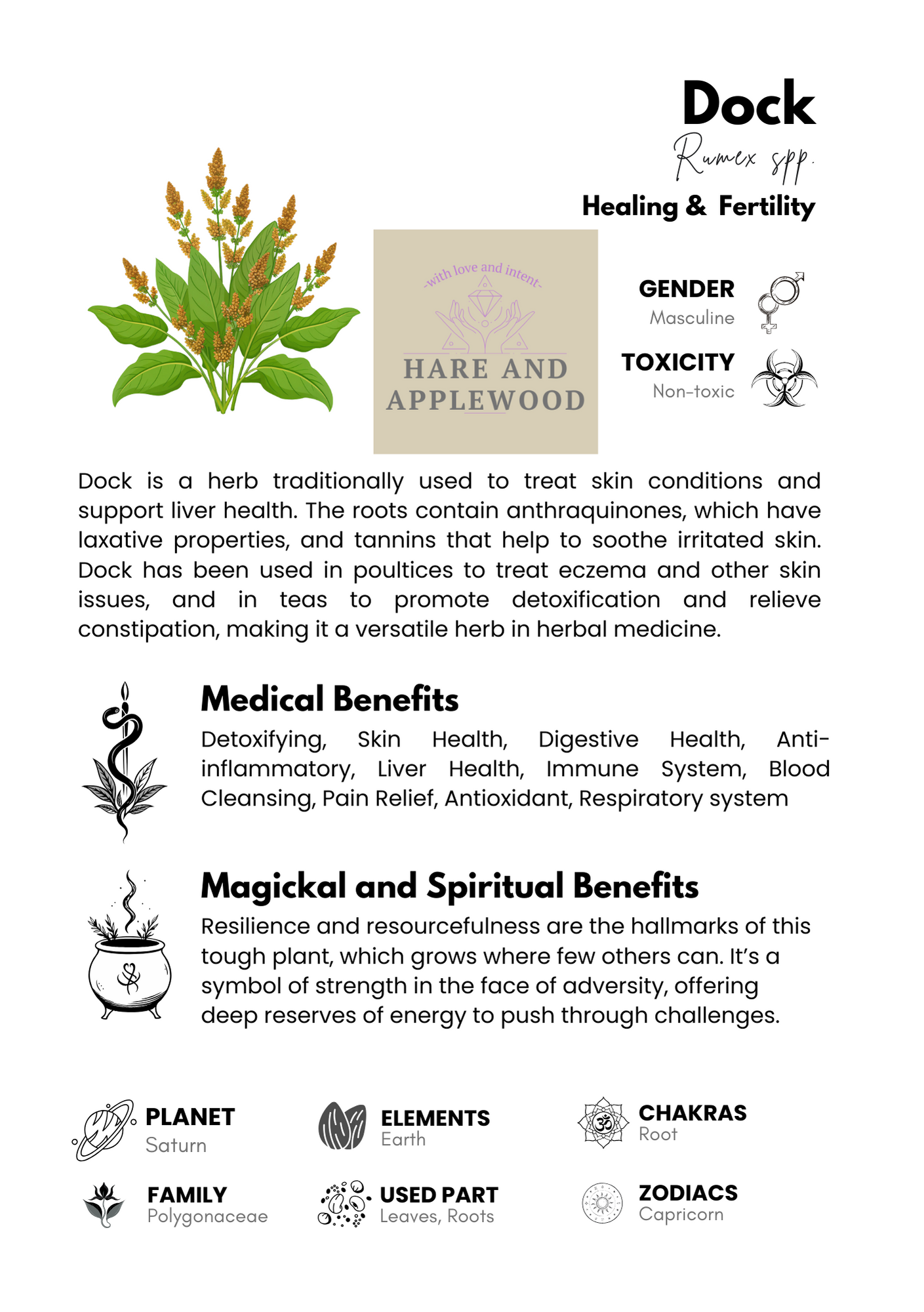 HERB information cards  A B C D E F G H I J K L M