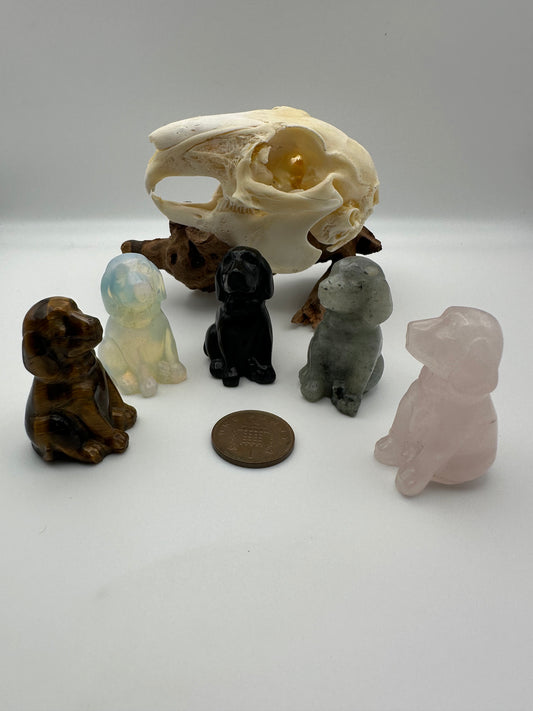 Crystal - Polished Sitting Dog