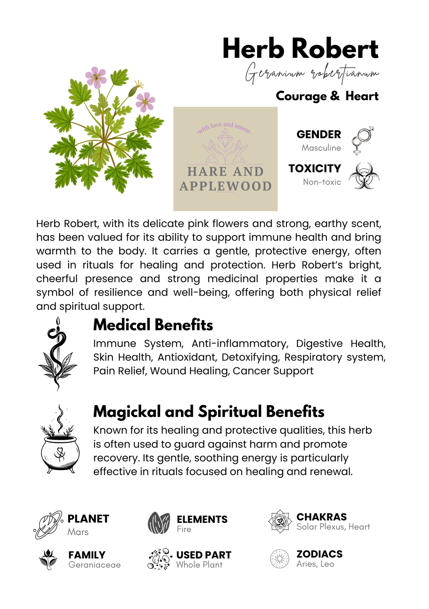 HERB information cards  A B C D E F G H I J K L M