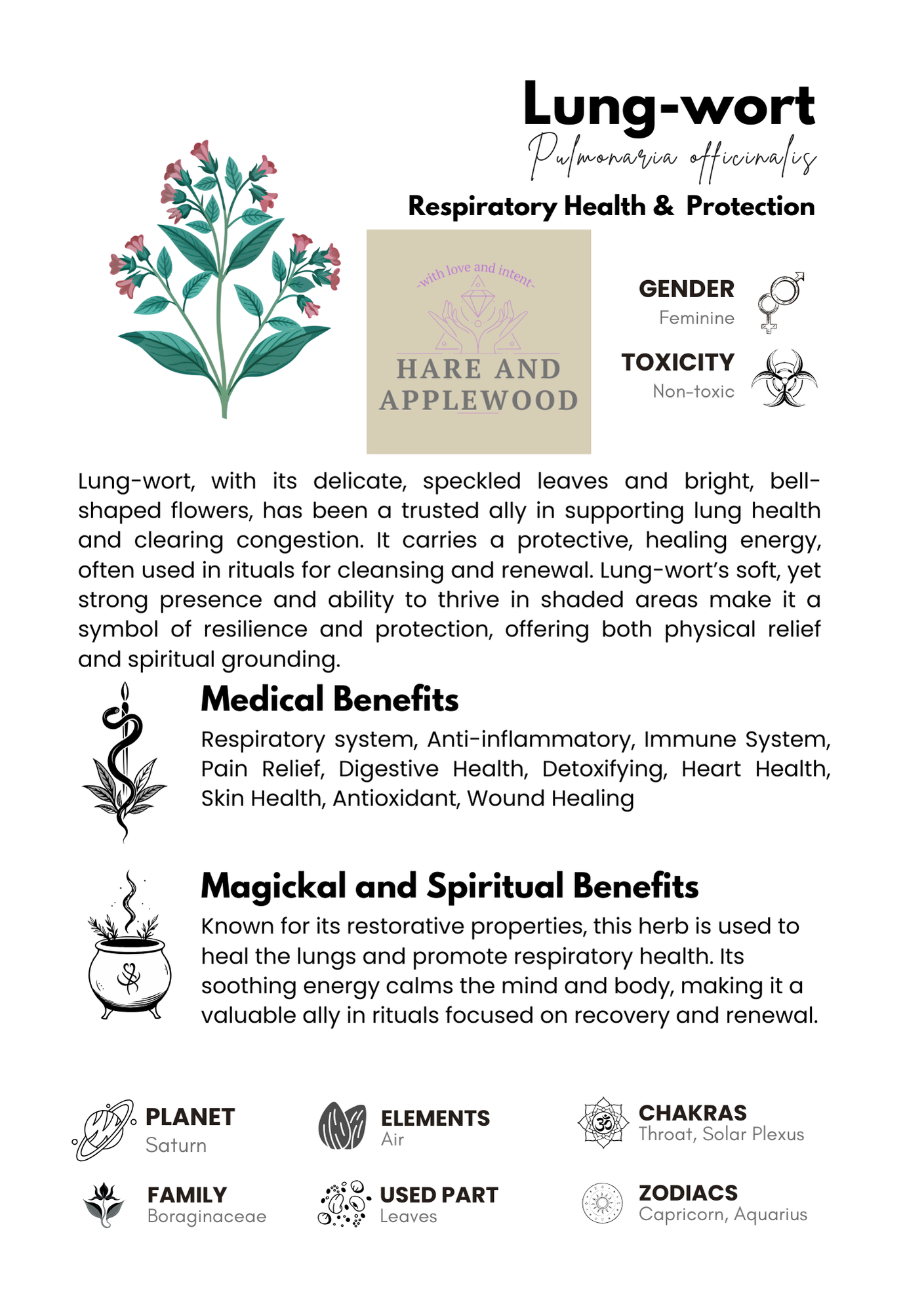 HERB information cards  A B C D E F G H I J K L M