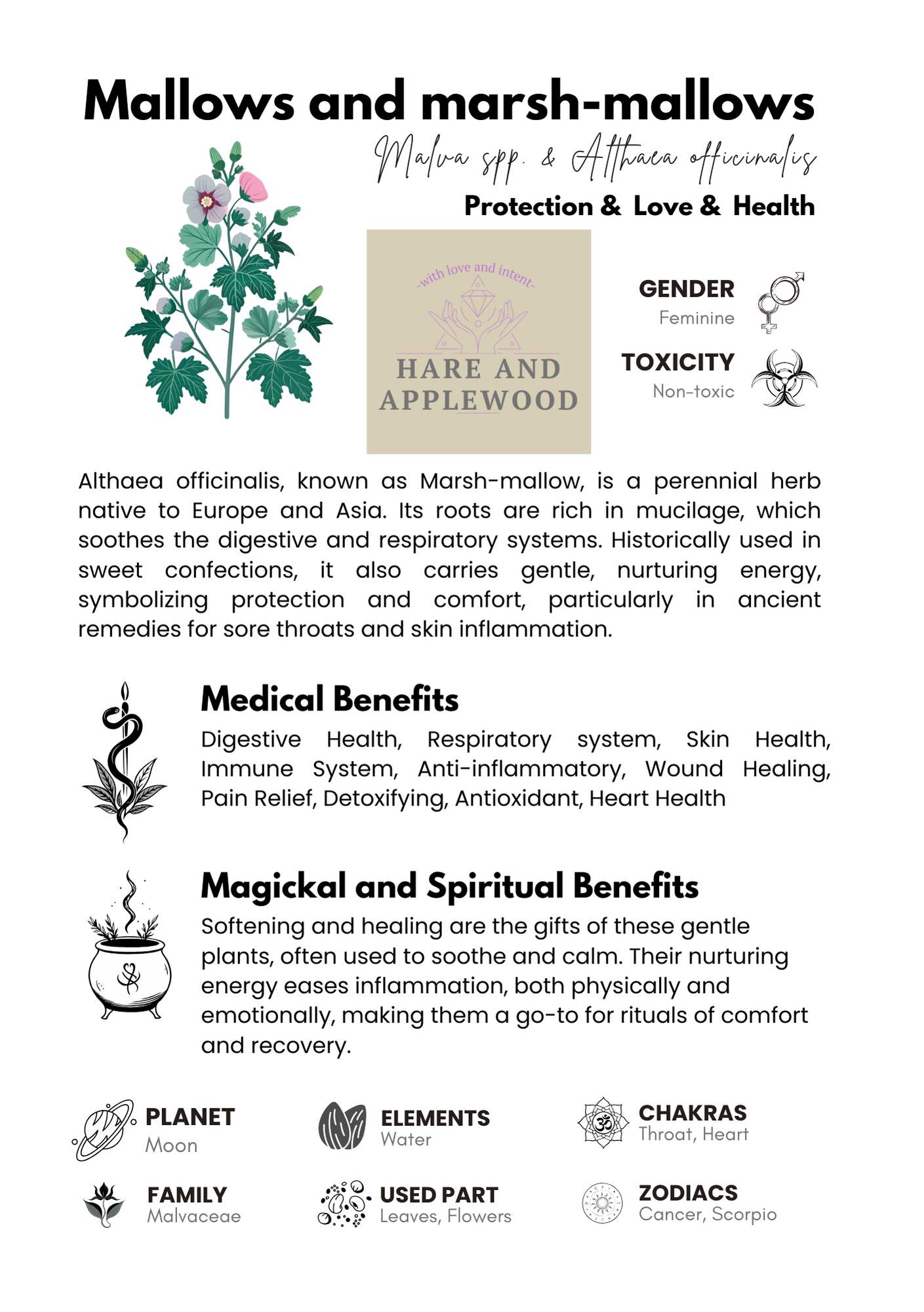 HERB information cards  A B C D E F G H I J K L M