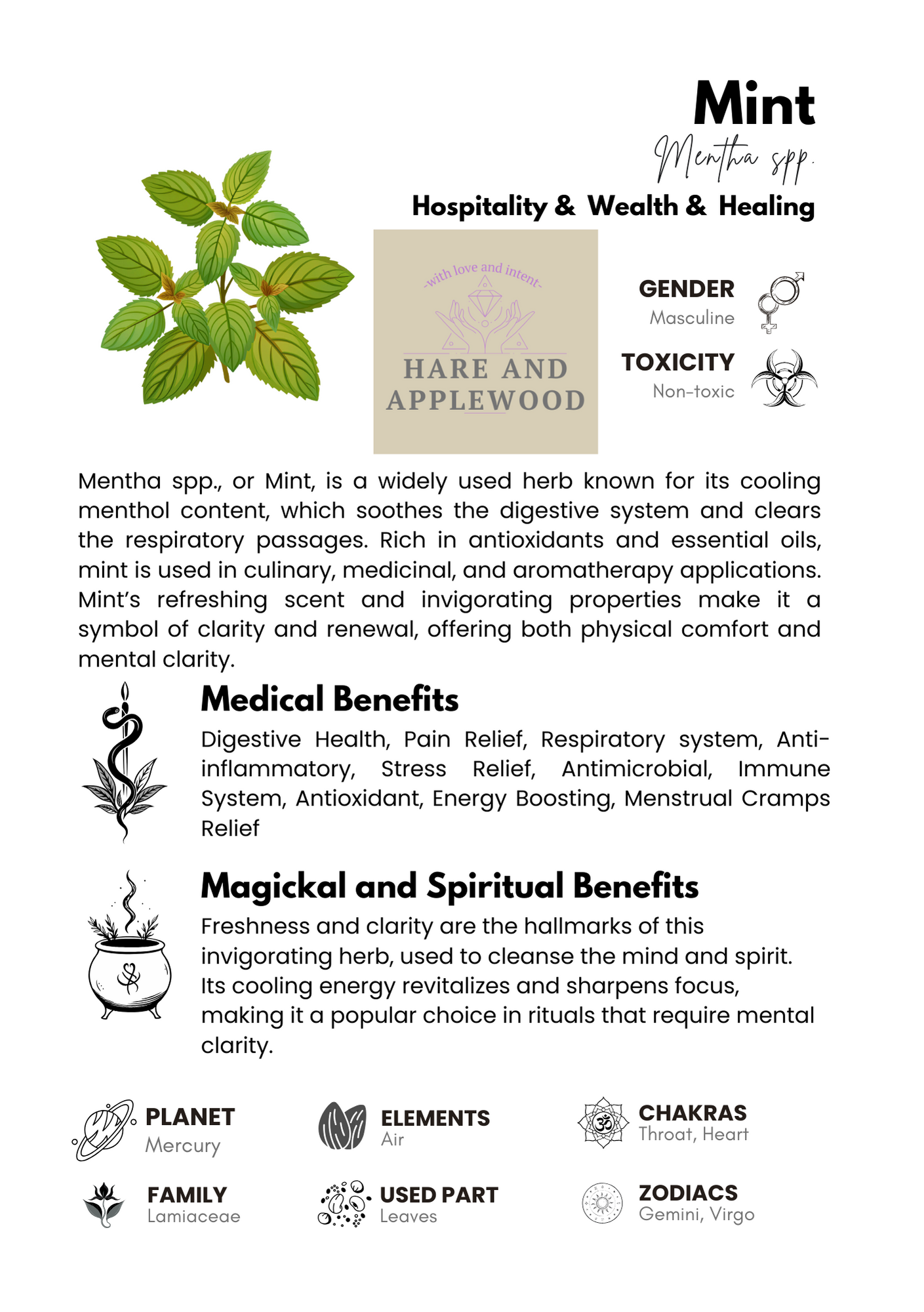 HERB information cards  A B C D E F G H I J K L M