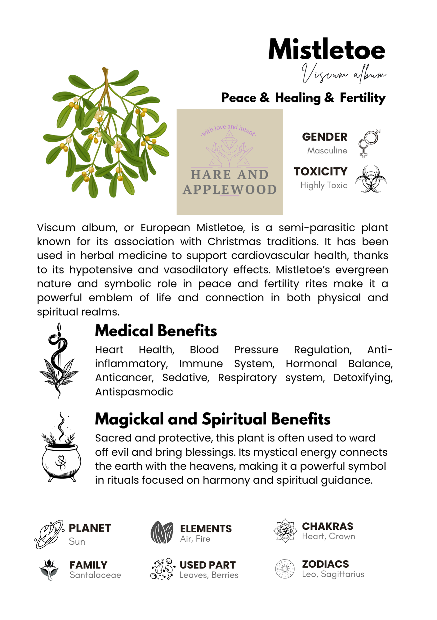 HERB information cards  A B C D E F G H I J K L M