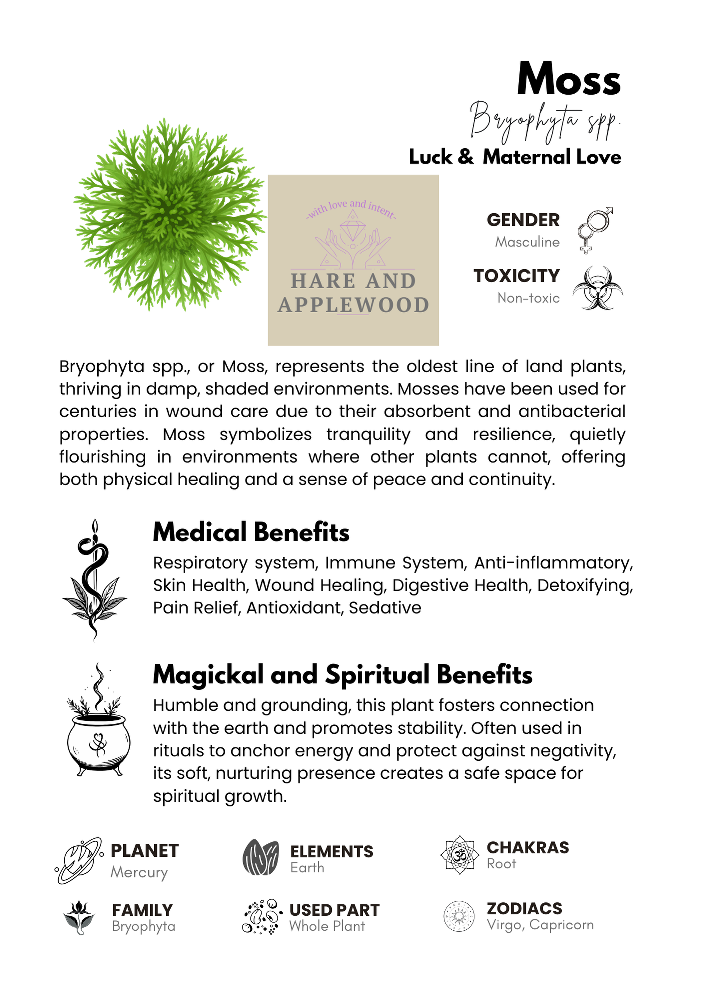 HERB information cards  A B C D E F G H I J K L M