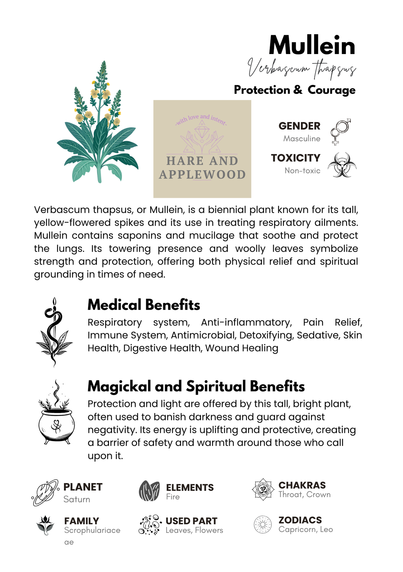 HERB information cards  A B C D E F G H I J K L M