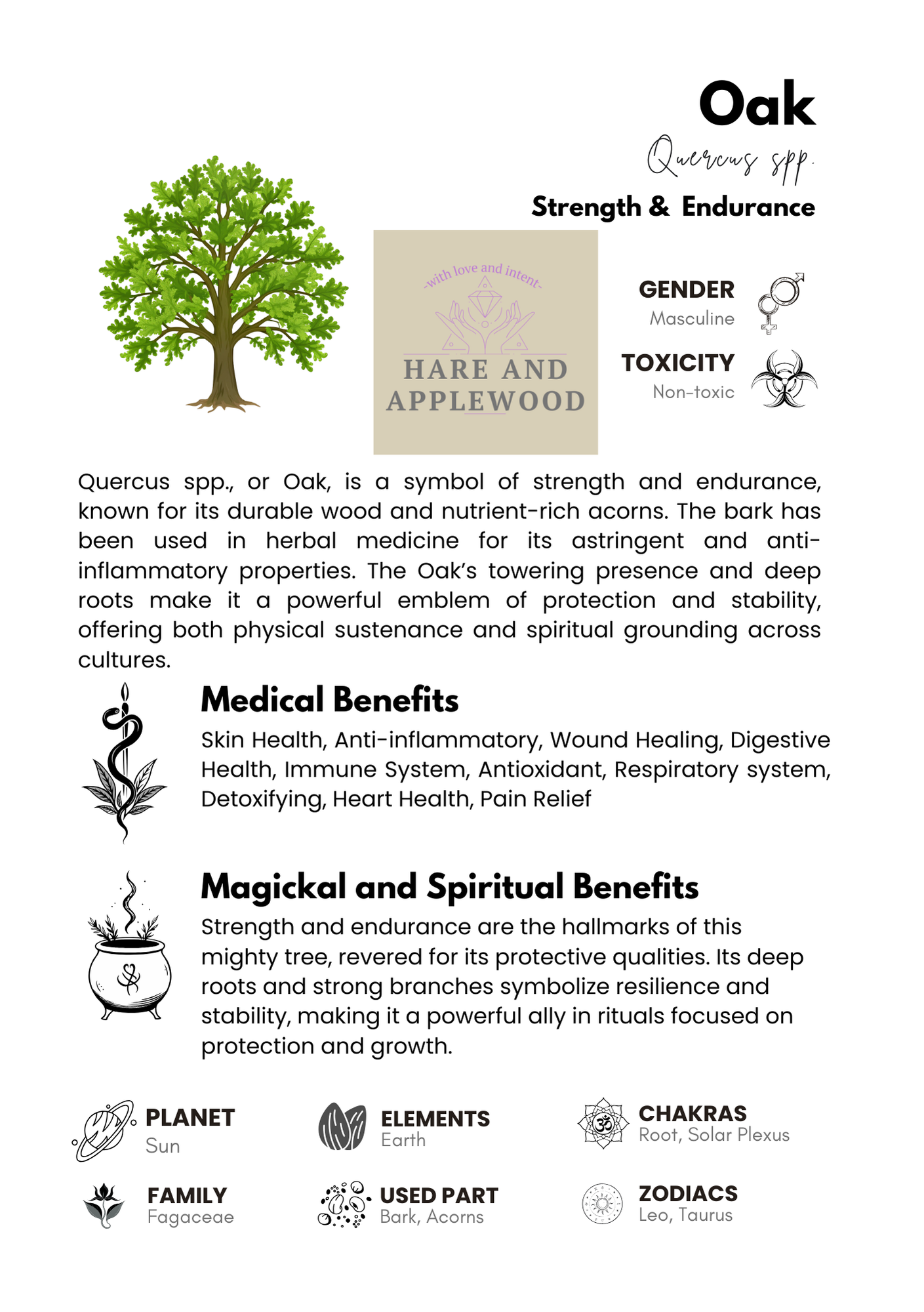 HERB information cards  N O P Q R S T U V W X Y Z