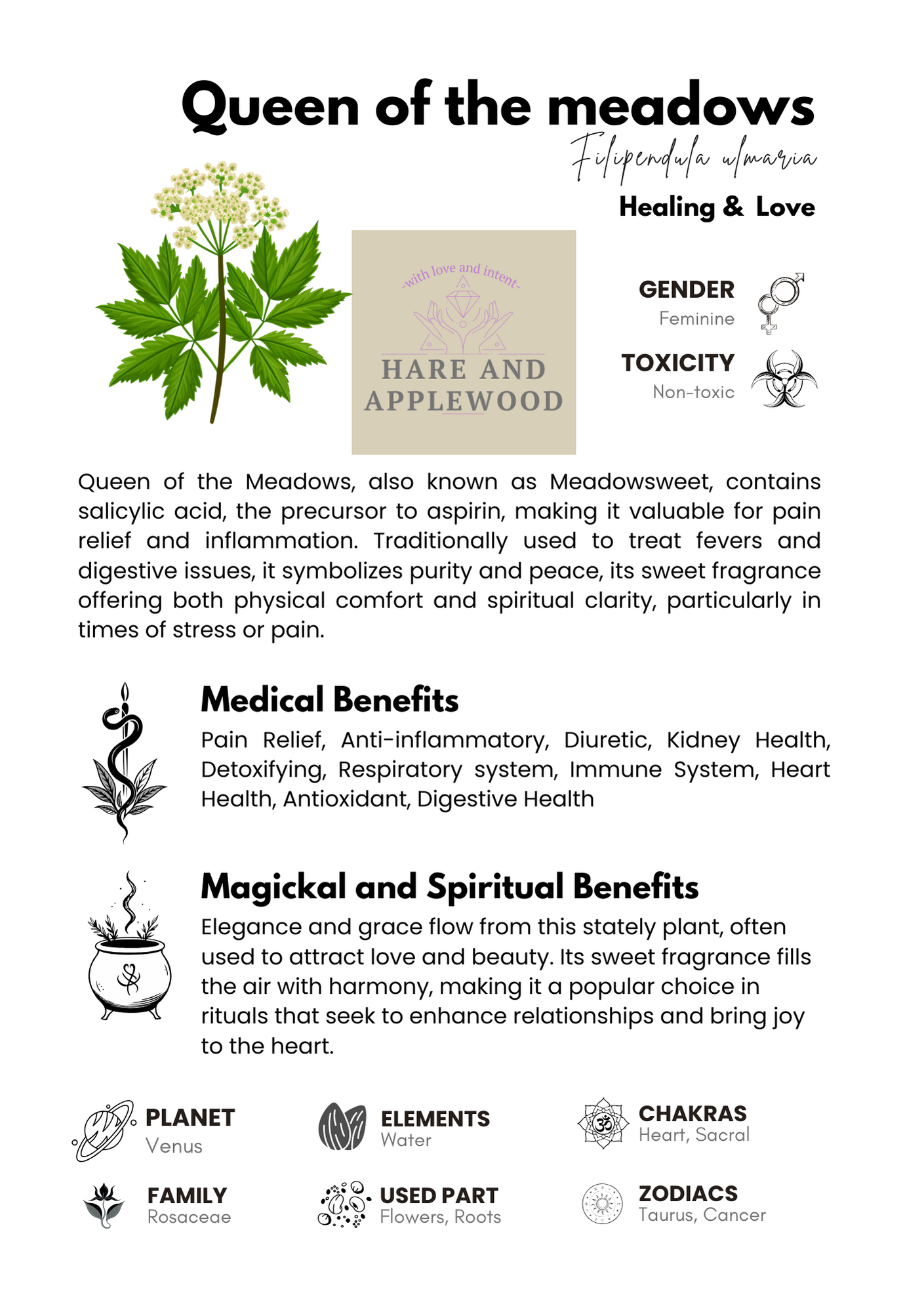 HERB information cards  A B C D E F G H I J K L M